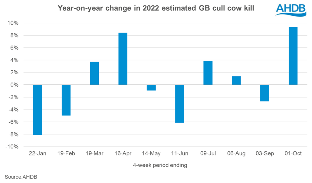 bar chart showing year on year change in cull cow kill